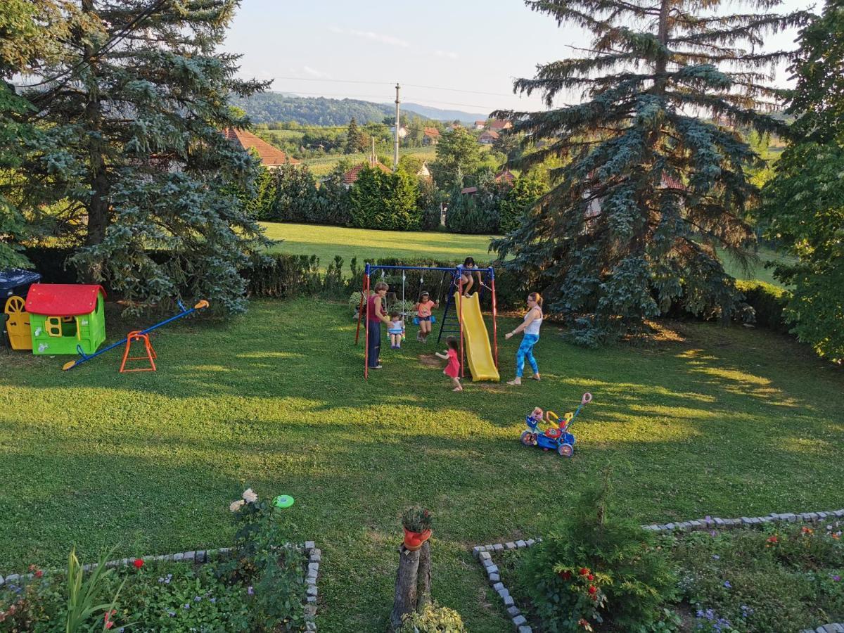Apartments Domacinstvo Nikolic Valjevo Exteriér fotografie