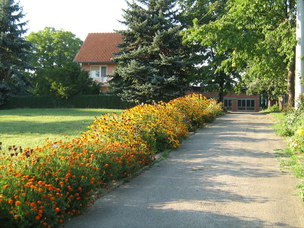 Apartments Domacinstvo Nikolic Valjevo Exteriér fotografie